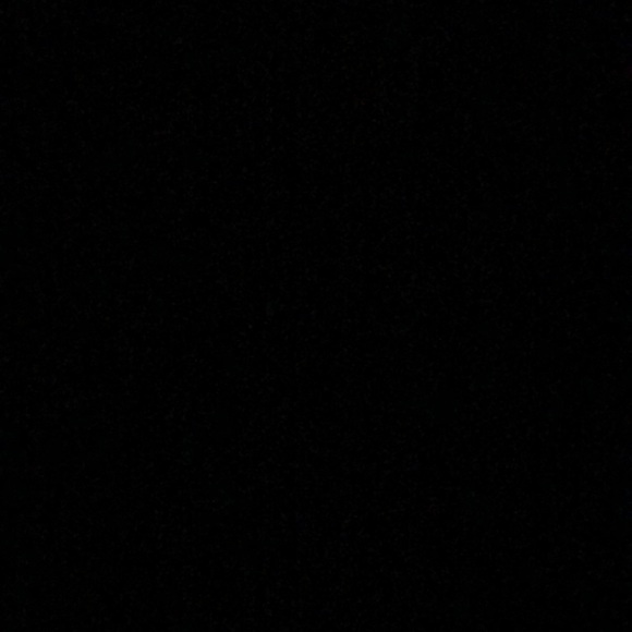 Meet your Posher, Gracee - Picture 1 of 1